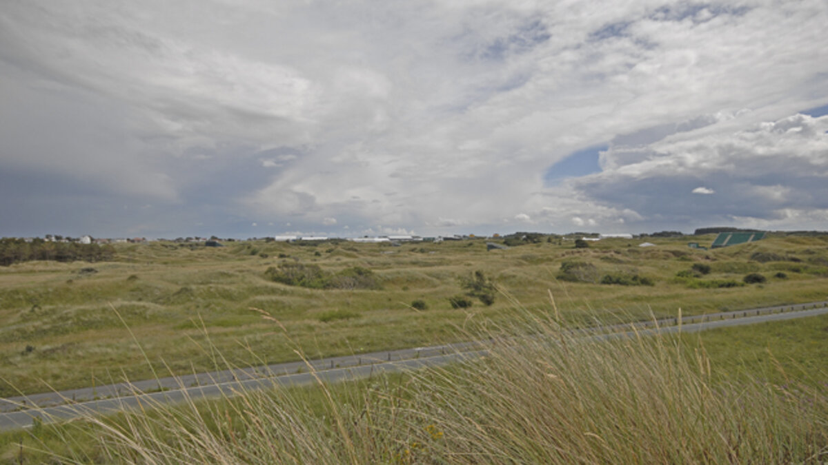Royal Birkdale No. 13