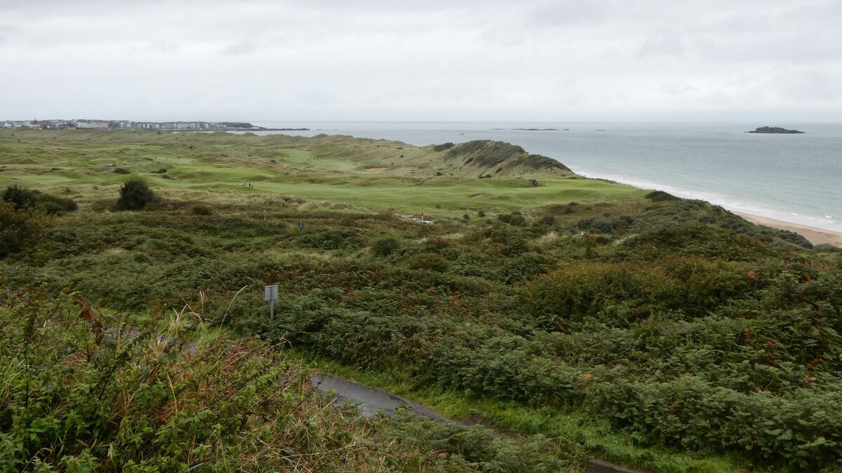 Royal Portrush No. 13, Feather Bed