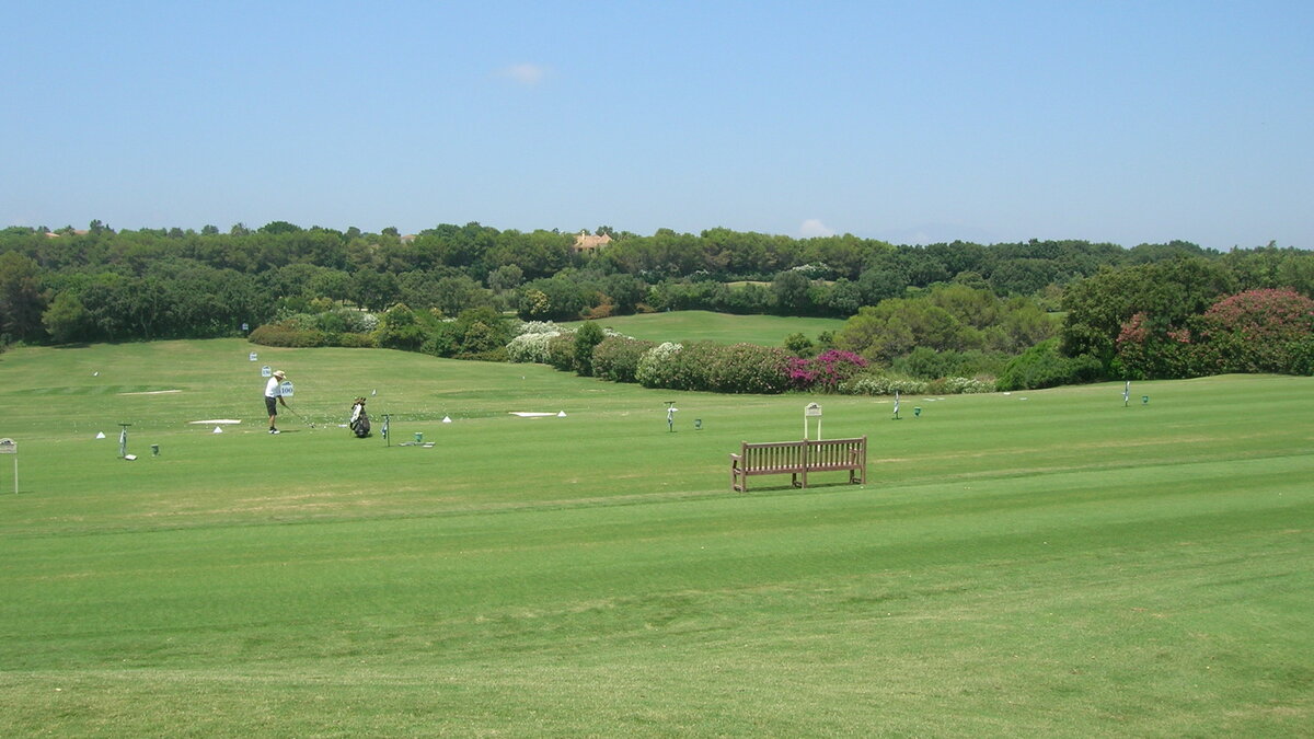 Valderrama No. 17